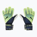 Puma Ultra Protect 2 RC Handschuhe grün/schwarz 04181801