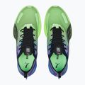 Herren Laufschuhe PUMA Fast-R NITRO Elite Carbon royal sapphire/fizzy lime 15