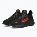 PUMA Softride Premier Slip-On Herren Laufschuhe schwarz 376540 10 10