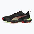 Herren Laufschuhe PUMA Obstruct Profoam Bold schwarz 377888 01 12