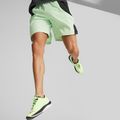 Herren Laufschuhe PUMA Velocity NITRO 2 Run 75 schnell gelb/puma schwarz 20