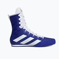 Boxschuhe adidas Box Hog 4 navy blau HP9612 10