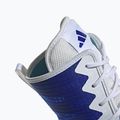 Boxschuhe adidas Box Hog 4 navy blau HP9612 15
