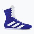 Boxschuhe adidas Box Hog 4 navy blau HP9612 2