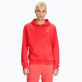 Herren Hoodie Sweatshirt FILA Bengel Regular Hoody cayenne