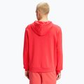 Herren Hoodie Sweatshirt FILA Bengel Regular Hoody cayenne 3