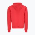 Herren Hoodie Sweatshirt FILA Bengel Regular Hoody cayenne 6