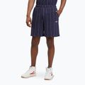 Shorts Herren FILA Lobito Pinstriped black iris/two color stiped
