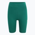 FILA Damen Leggings Buckautal Aventurin 5