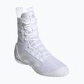 Boxen Schuhe adidas Speedex 23 Wolke weiß/Wolke weiß/grau ein