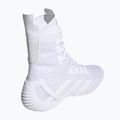 Boxen Schuhe adidas Speedex 23 Wolke weiß/Wolke weiß/grau ein 3