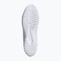 Boxen Schuhe adidas Speedex 23 Wolke weiß/Wolke weiß/grau ein 5