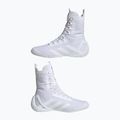 Boxen Schuhe adidas Speedex 23 Wolke weiß/Wolke weiß/grau ein 8