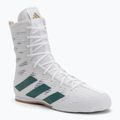 adidas Box Hog 4 Wolke weiß/collegiate grün/core schwarz Boxen Schuhe