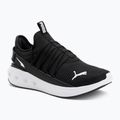 Laufschuhe PUMA PUMA Softride Carson Fresh puma black/puma black/puma white