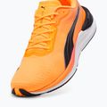 Herren Laufschuhe PUMA Electrify Nitro 3 Fade sun stream/sunset glow/puma weiß 12