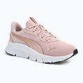 PUMA FlexFocus Lite Modern mauve mist/puma go Laufschuhe