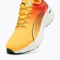 Herren Laufschuhe PUMA ForeverRun Nitro Fade sun stream/sunset glow/puma weiß 12