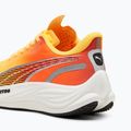 Damen Laufschuhe PUMA Velocity Nitro 3 Fade sun stream/sunset glow/weiß 12