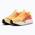 Herren Laufschuhe PUMA Velocity Nitro 3 Fade sun stream/sunset glow/weiß 8