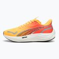 Herren Laufschuhe PUMA Velocity Nitro 3 Fade sun stream/sunset glow/weiß 10