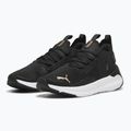 Laufschuhe Damen PUMA Softride Symmetry Fuzion puma black/puma gold