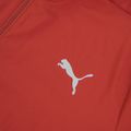 Laufjacke für Herren Puma Run Favorite Woven Jacket bed 3