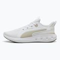 Laufschuhe PUMA PUMA Softride Carson puma white/desert dust
