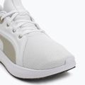 Laufschuhe PUMA PUMA Softride Carson puma white/desert dust 7