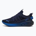 Laufschuhe PUMA PUMA Softride Carson Fresh puma navy/vivid blue
