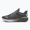Laufschuhe PUMA PUMA Softride Carson Fresh cool dark gray/feather gray/heat fire