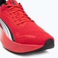 Laufschuhe PUMA PUMA Pounce Lite for all time red/puma white 7