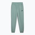 Hosen Herren PUMA ESS No. 1 Logo Sweatpants TR CL green moon