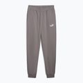 Hosen Herren PUMA ESS No. 1 Logo Sweatpants TR CL cast iron