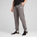 Hosen Herren PUMA ESS No. 1 Logo Sweatpants TR CL cast iron 4