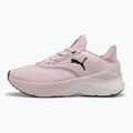 Laufschuhe Damen PUMA Softride Mayve rose mauve/puma black/sun struck