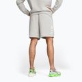Herren Trainingsshorts PUMA x HYROX grau 2