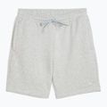 Herren Trainingsshorts PUMA x HYROX grau 3