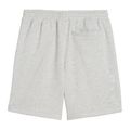 Herren Trainingsshorts PUMA x HYROX grau 4