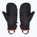 Skihandschuhe Kinder ZIENER Luron Aquashield PR Mitten multicolor 2