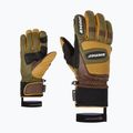 Herren-Skihandschuh ZIENER Guard GTX + Gore Grip PR alpine dunkel/braun