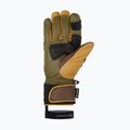 Herren-Skihandschuh ZIENER Guard GTX + Gore Grip PR alpine dunkel/braun 3