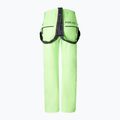Herren Skihose BOGNER FIRE+ICE Scott 3 vibrant lime 2