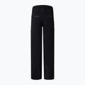 Herren Skihose BOGNER FIRE+ICE Nic-T black 2
