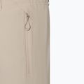 Herren Skihose BOGNER FIRE+ICE Nic-T nomadic desert 3