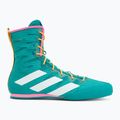 Boxschuhe adidas Box Hog 4 turquoise 2