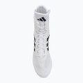 Boxschuhe adidas Box Hog II white/black 5