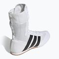 Boxschuhe adidas Box Hog Classic white 4