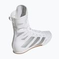 Boxschuhe adidas Box Hog 4 white/silver 2