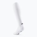 CEP Damen Kompressionssocken Run Tall 5.0 weiß 3